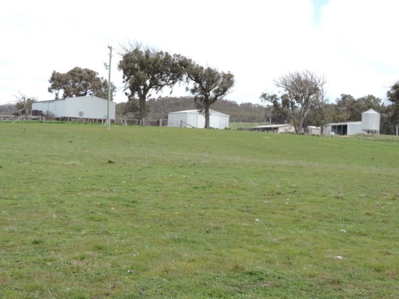 2544 Middle Arm Road, Middle Arm NSW 2580