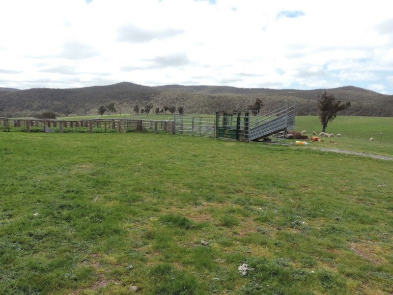 2544 Middle Arm Road, Middle Arm NSW 2580