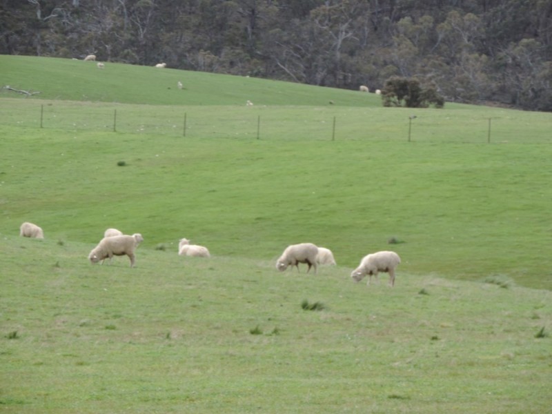 2544 Middle Arm Road, Middle Arm NSW 2580