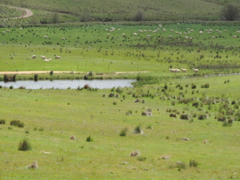 2544 Middle Arm Road, Middle Arm NSW 2580