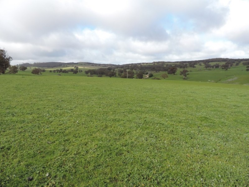 858 Sylvia Vale Road, Binda NSW 2583