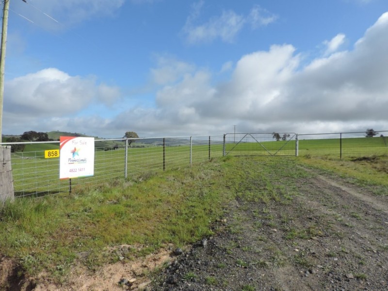 858 Sylvia Vale Road, Binda NSW 2583