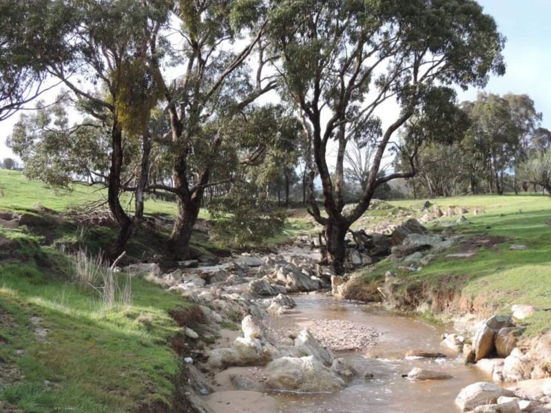 858 Sylvia Vale Road, Binda NSW 2583