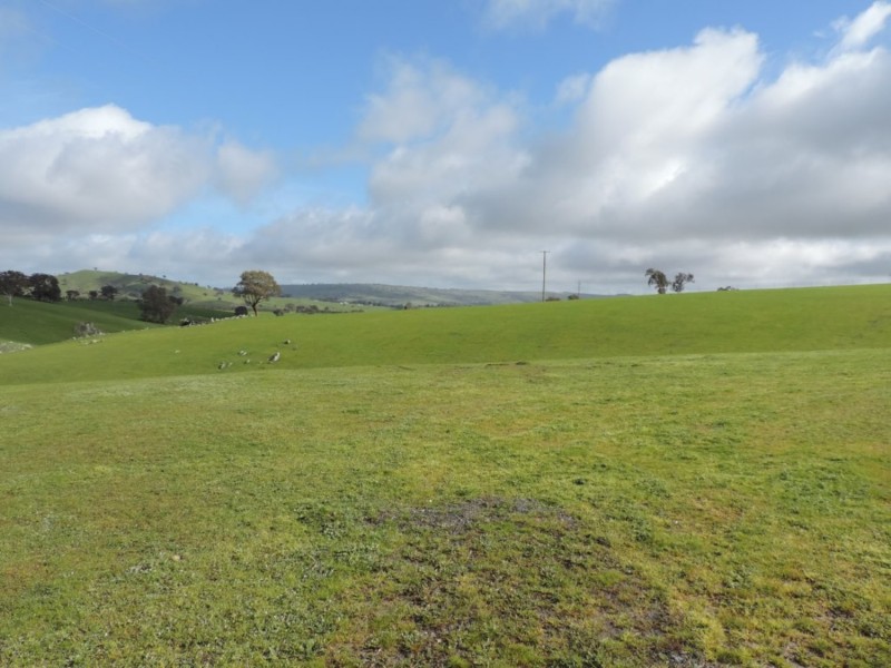 858 Sylvia Vale Road, Binda NSW 2583