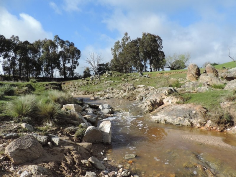 858 Sylvia Vale Road, Binda NSW 2583