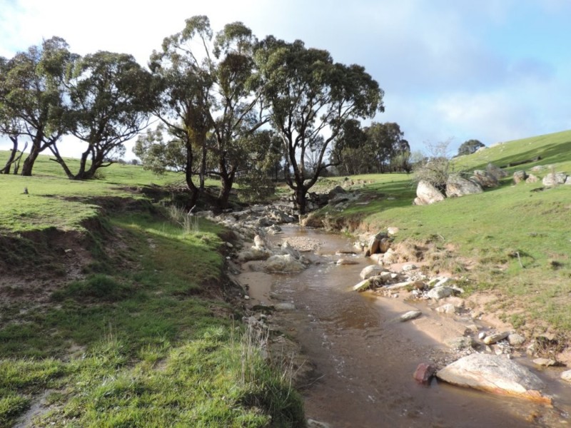 858 Sylvia Vale Road, Binda NSW 2583