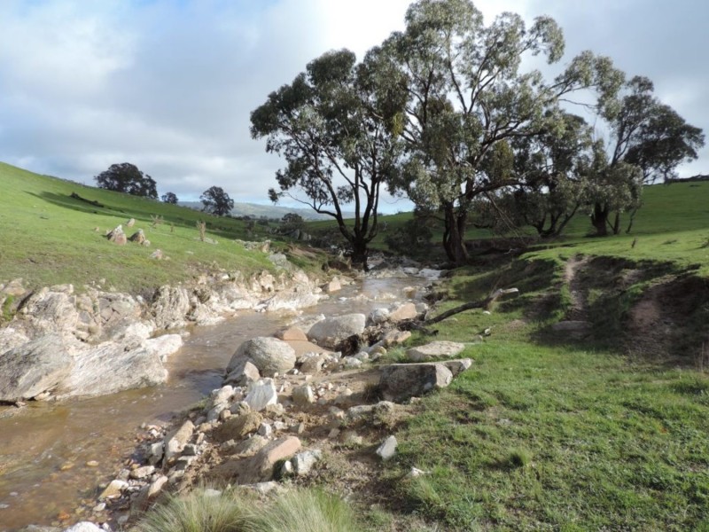 858 Sylvia Vale Road, Binda NSW 2583