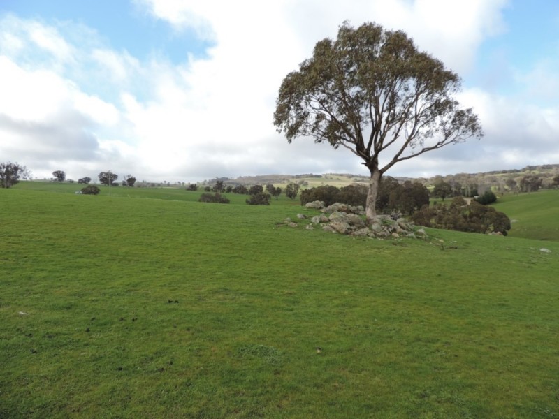 858 Sylvia Vale Road, Binda NSW 2583