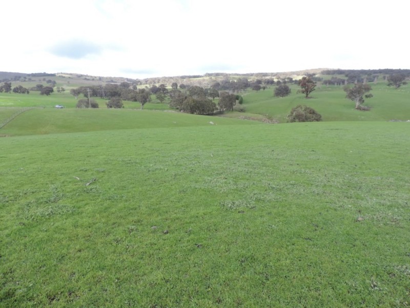 858 Sylvia Vale Road, Binda NSW 2583