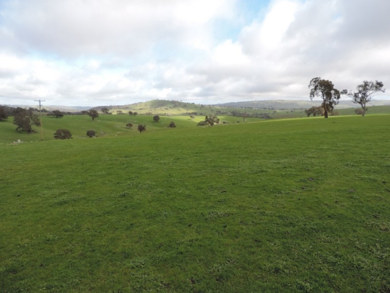 858 Sylvia Vale Road, Binda NSW 2583