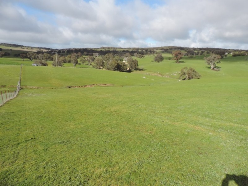 858 Sylvia Vale Road, Binda NSW 2583