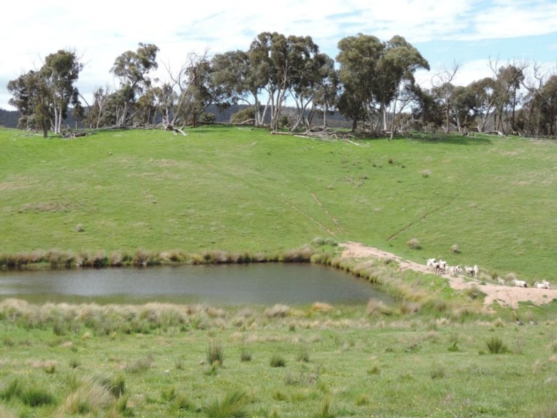 Lot 3 Middle Arm Road, Middle Arm NSW 2580
