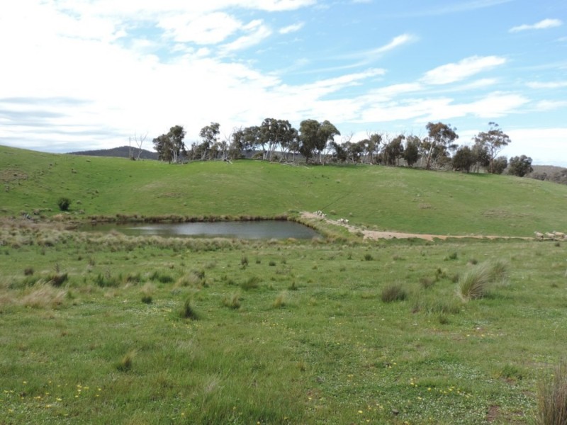 Lot 3 Middle Arm Road, Middle Arm NSW 2580