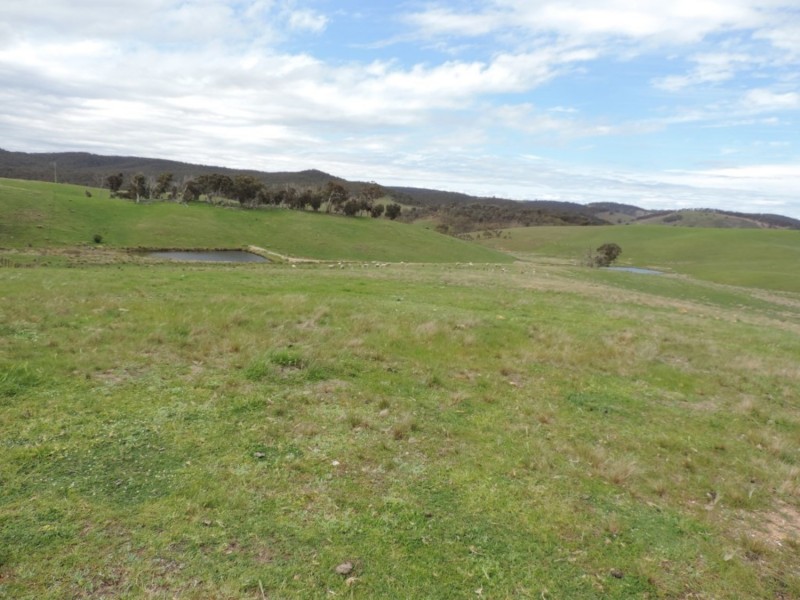 Lot 3 Middle Arm Road, Middle Arm NSW 2580