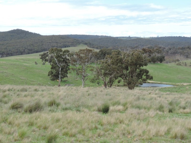 Lot 2 Middle Arm Road, Middle Arm NSW 2580