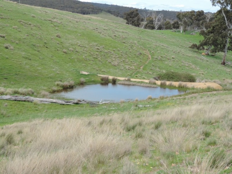 Lot 2 Middle Arm Road, Middle Arm NSW 2580