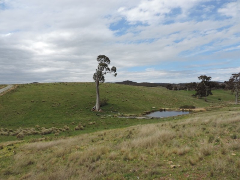 Lot 2 Middle Arm Road, Middle Arm NSW 2580