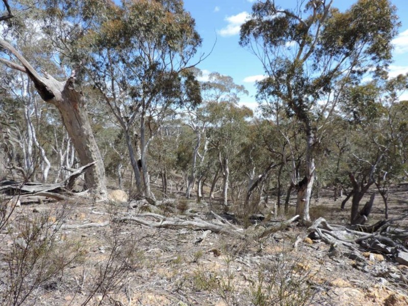 251 Nerrimunga Creek Road, Windellama NSW 2580