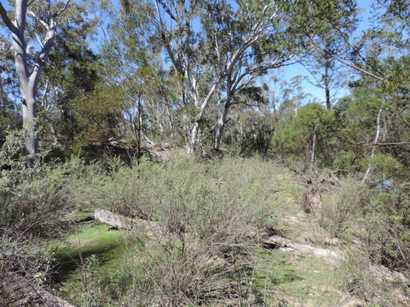 251 Nerrimunga Creek Road, Windellama NSW 2580