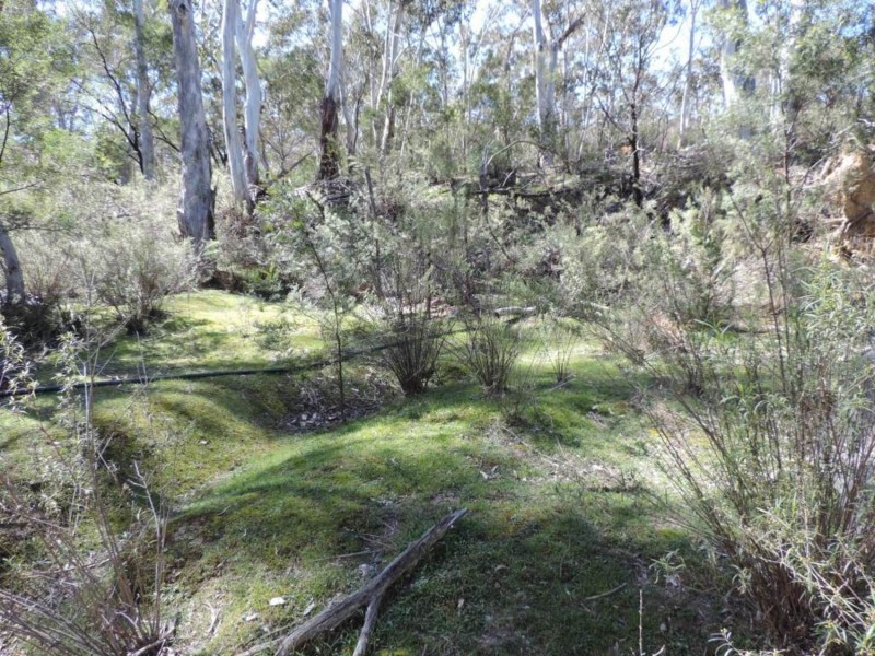 251 Nerrimunga Creek Road, Windellama NSW 2580