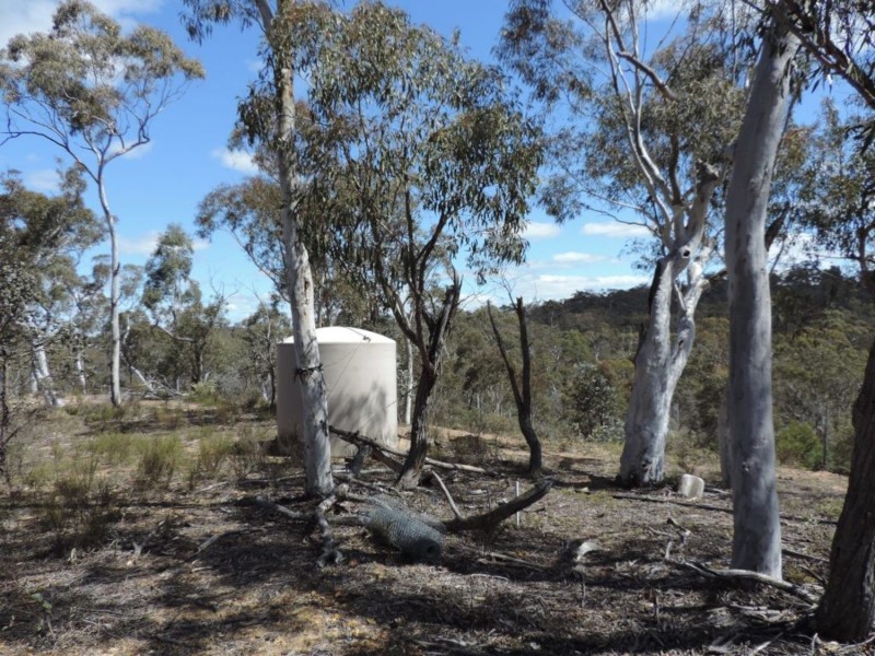 251 Nerrimunga Creek Road, Windellama NSW 2580