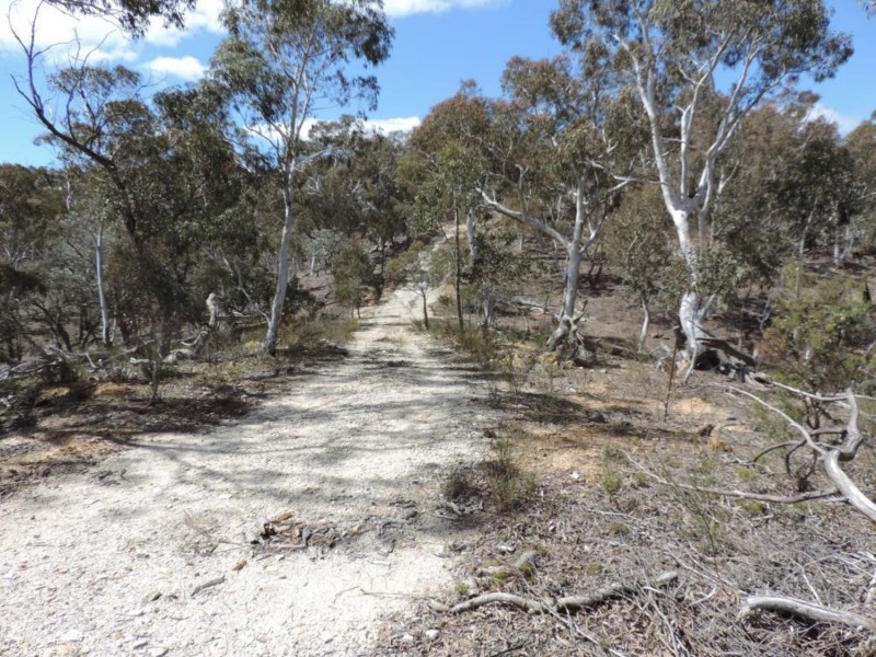 251 Nerrimunga Creek Road, Windellama NSW 2580