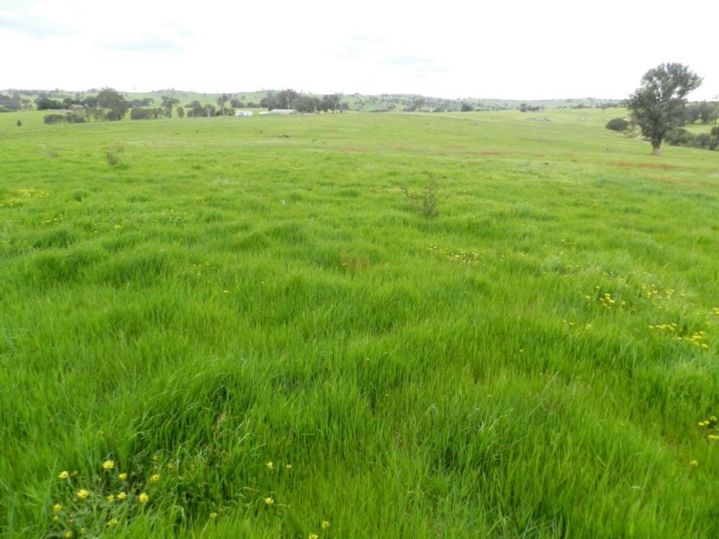 738 Jerrara Road, Crookwell NSW 2583