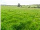 738 Jerrara Road, Crookwell NSW 2583