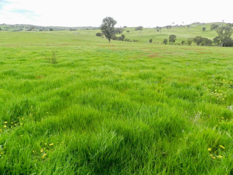 738 Jerrara Road, Crookwell NSW 2583