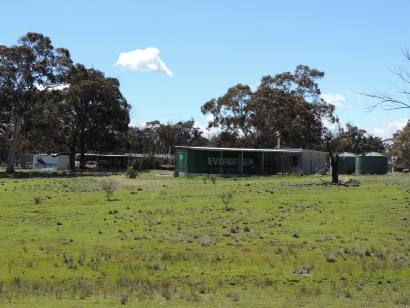 62 Hazelton Road, Bungonia NSW 2580