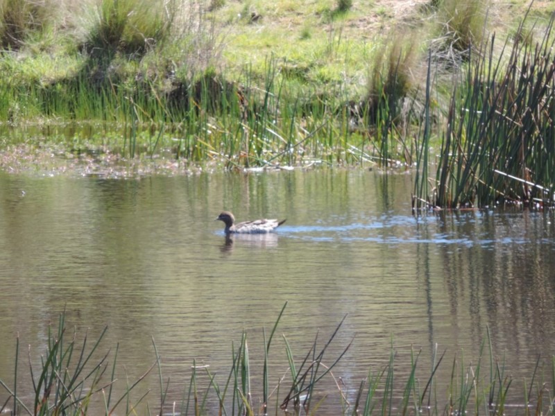 62 Hazelton Road, Bungonia NSW 2580