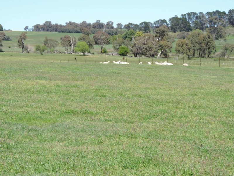 2 Redground Road, Crookwell NSW 2583