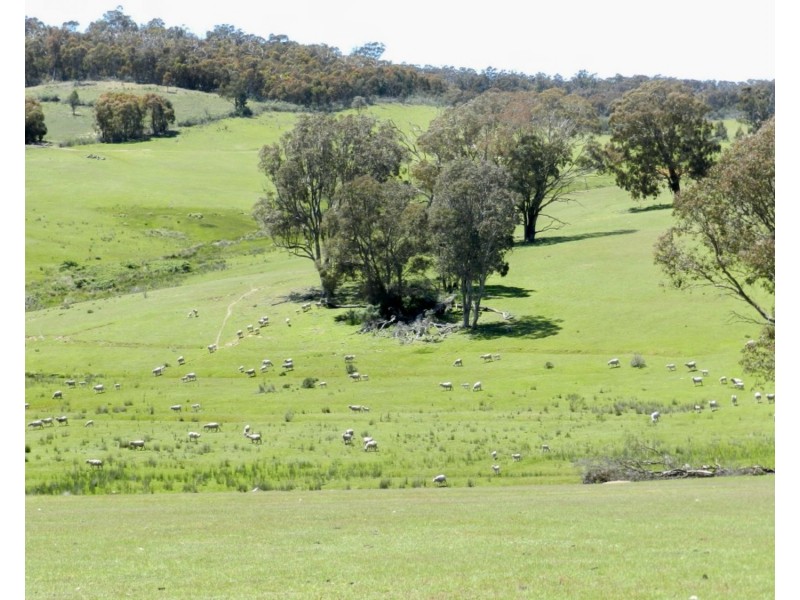 373 Millsvale Road, Crookwell NSW 2583