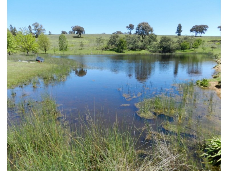 373 Millsvale Road, Crookwell NSW 2583