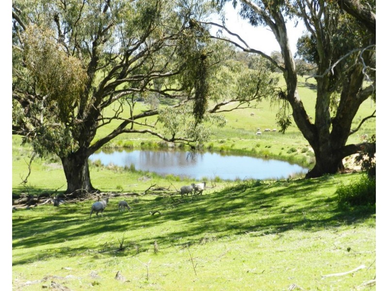 373 Millsvale Road, Crookwell NSW 2583