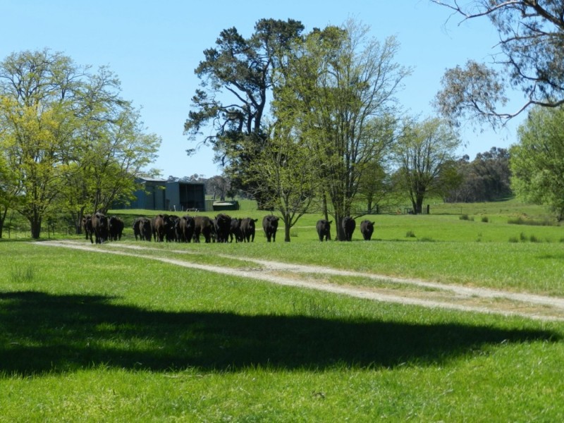 1002 Pejar Road, Crookwell NSW 2583