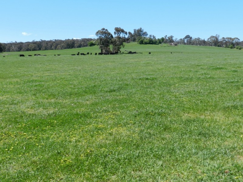 1002 Pejar Road, Crookwell NSW 2583