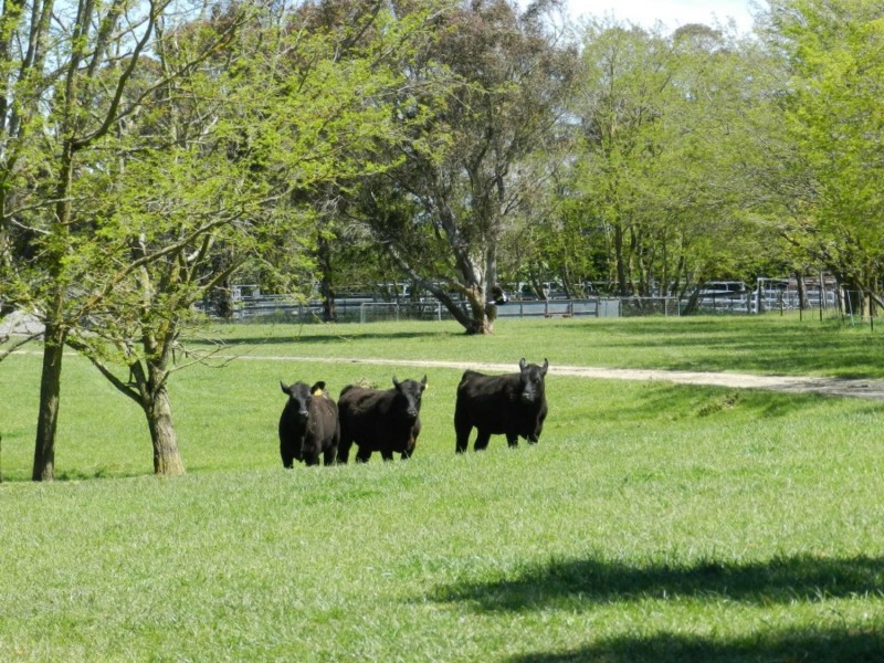 1002 Pejar Road, Crookwell NSW 2583