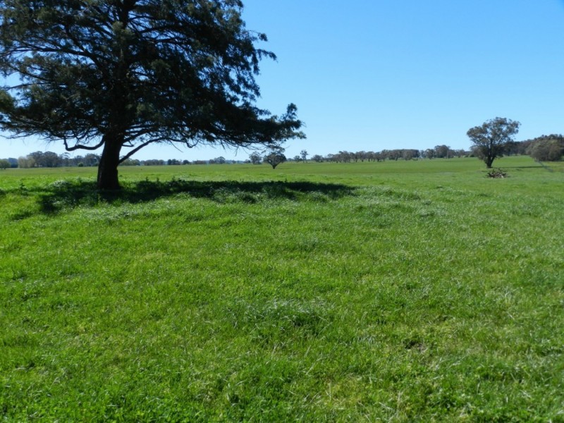 1002 Pejar Road, Crookwell NSW 2583