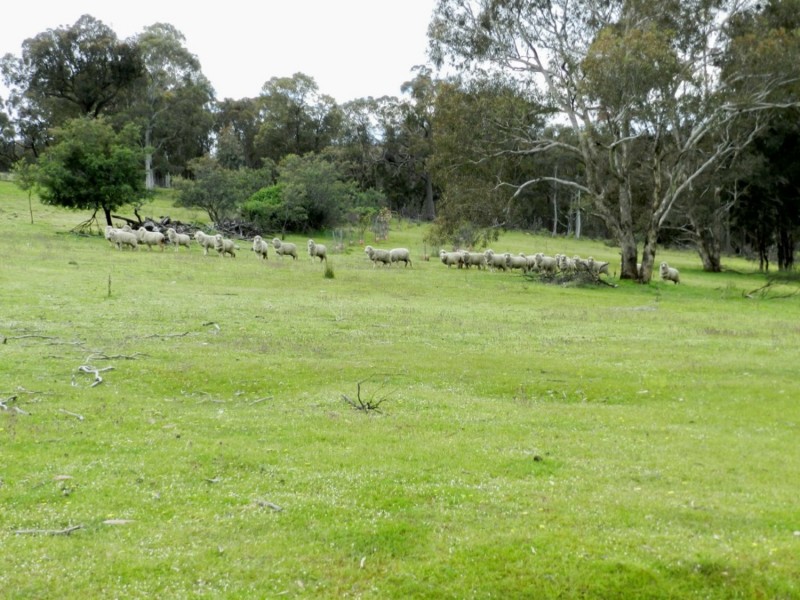 Lot 72 Bigga Road, Binda NSW 2583