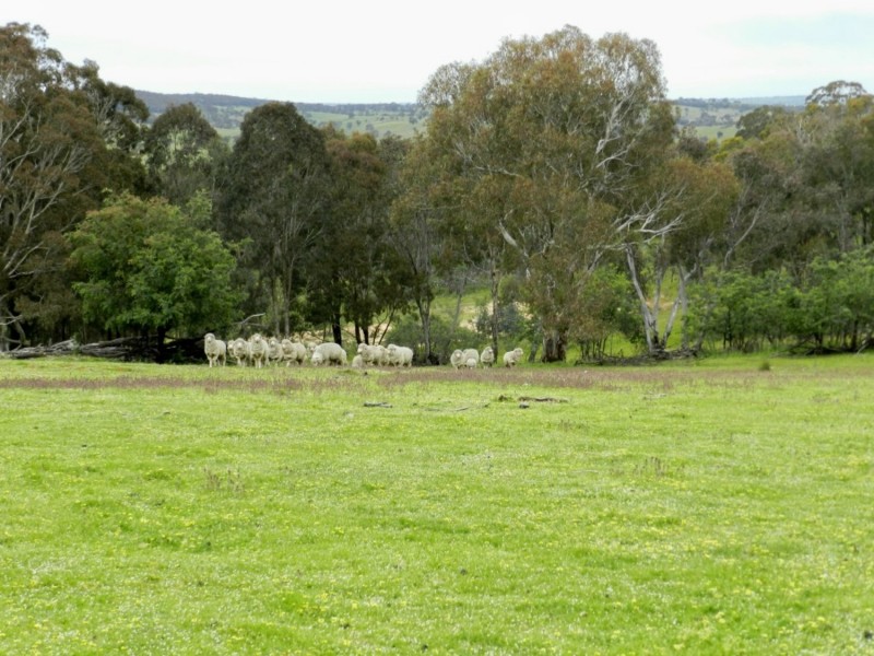 Lot 72 Bigga Road, Binda NSW 2583