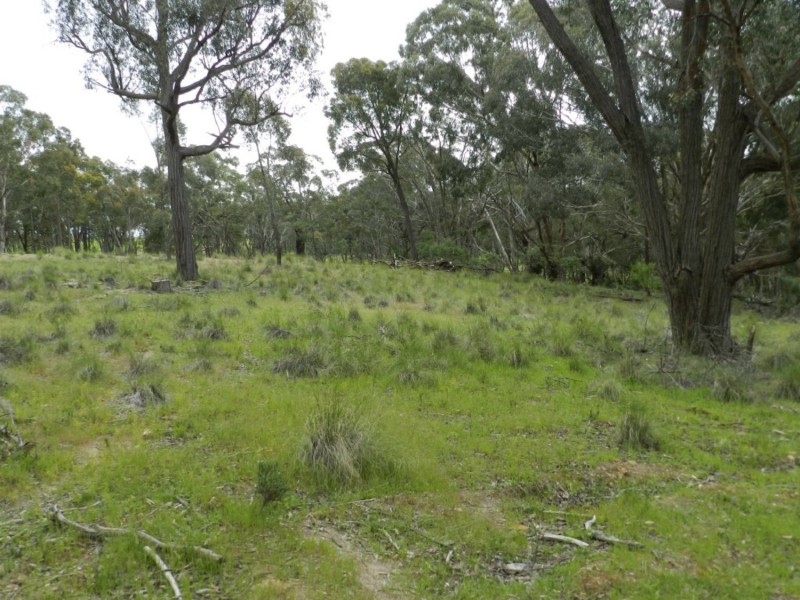 Lot 72 Bigga Road, Binda NSW 2583