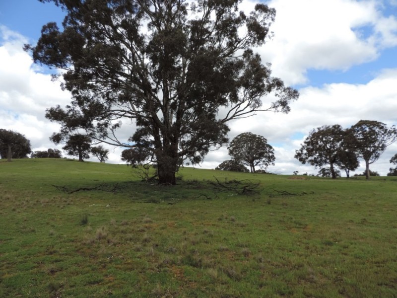 Lot 1  Suffolk Street, Binda NSW 2583