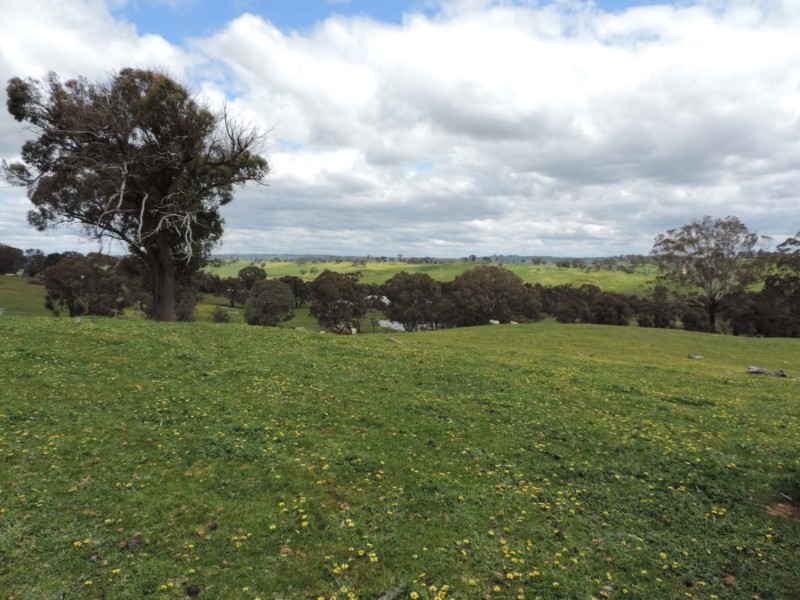 Lot 3 Off Edward Street, Binda NSW 2583