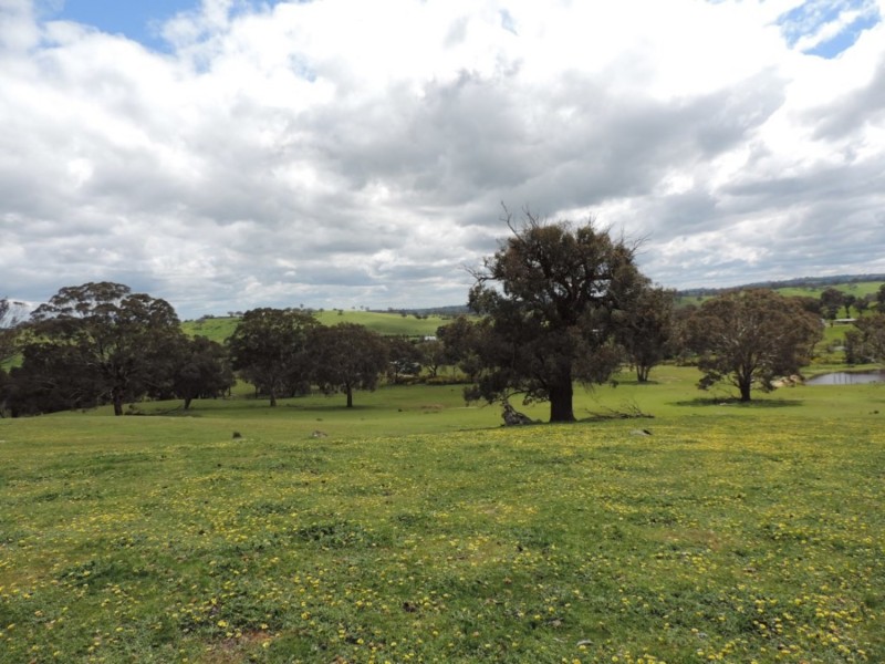 Lot 3 Off Edward Street, Binda NSW 2583