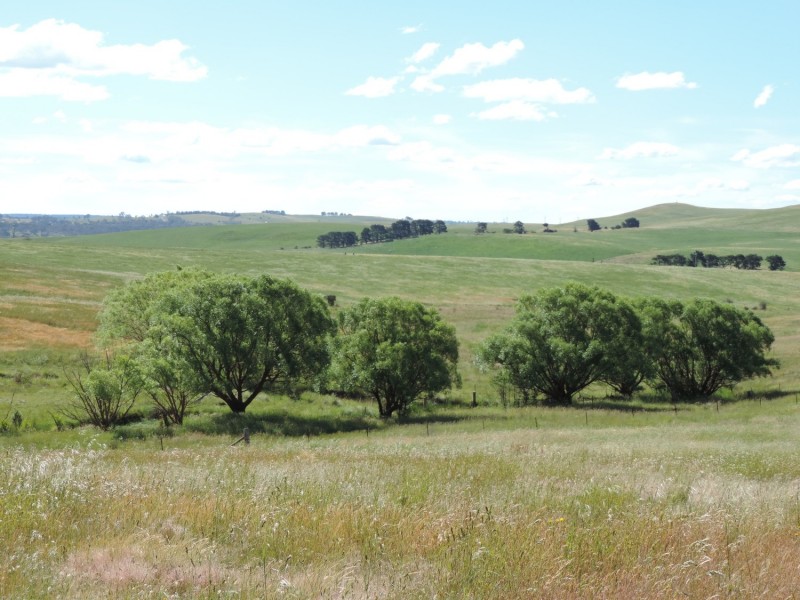 383 Woodhouselee Road, Goulburn NSW 2580