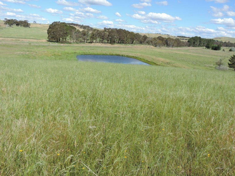 383 Woodhouselee Road, Goulburn NSW 2580