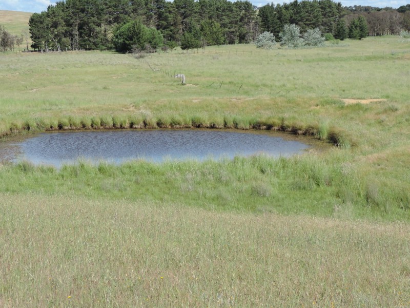 383 Woodhouselee Road, Goulburn NSW 2580