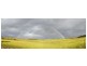 3100 Oallen Ford Road, Windellama NSW 2580