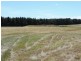 3100 Oallen Ford Road, Windellama NSW 2580
